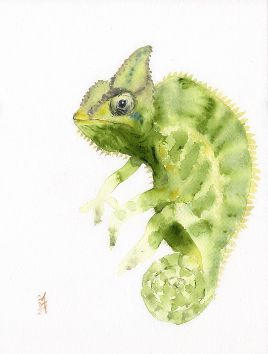 obrazy Oryginalna akwarela. Kameleon
