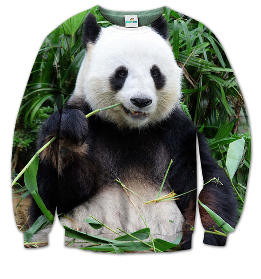 Bluza Miś Panda Wielka kidsmob