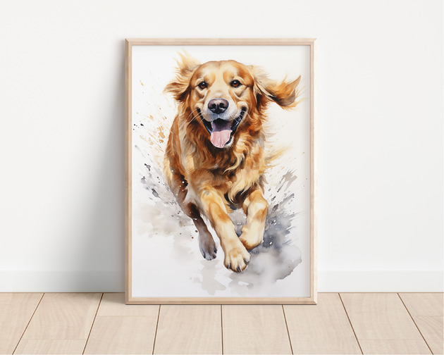 plakaty Plakat golden retriever