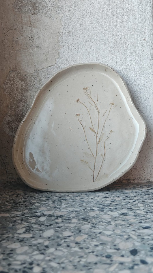 patery i talerze Talerz ECO