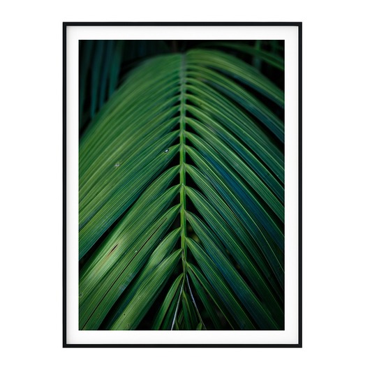 Plakat skandynawski botanicznyi Liść Palmy myscandi