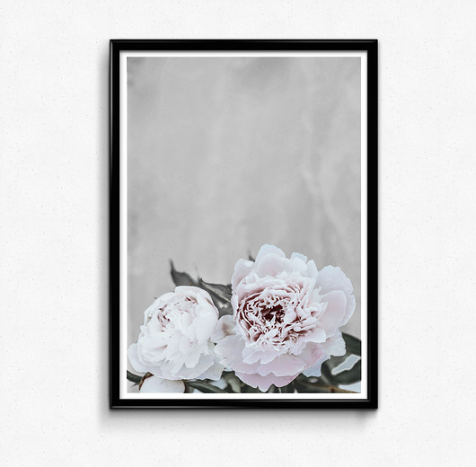 Piwonie 50x70 plakat Bury Lis