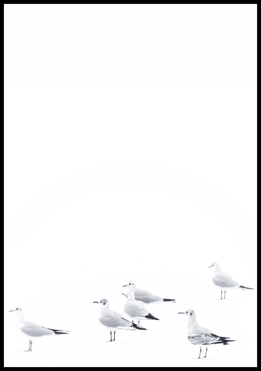 plakaty Plakat "Mewy na śniegu"