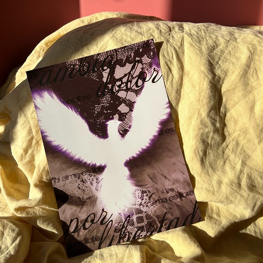 plakaty Plakat cambio dolor por libertad a3