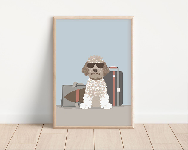 plakaty Plakat lagotto romagnolo