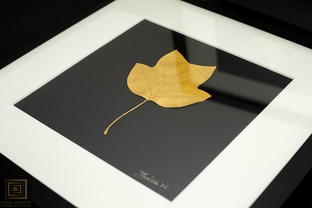 Ozdoby na ścianę Złoty Liść w Ramie 25x25cm. Tulipanowiec amerykański. Obraz Handmade