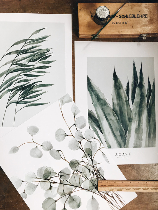 grafiki i ilustracje Komplet 3 botanicznych printów