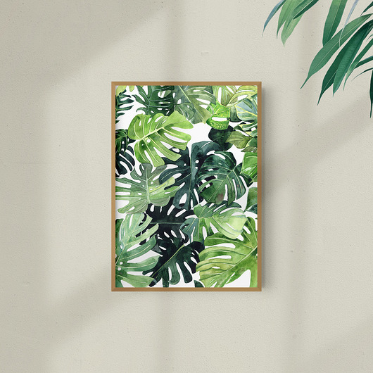 grafiki i ilustracje Monstera - ilustracja botaniczna