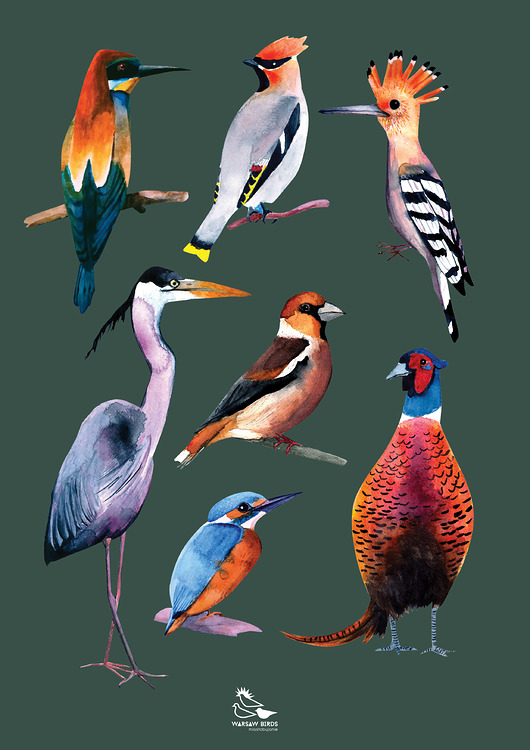 Plakat "Kocham ptaki. Kompozycja 3" 50x70,7 cm Warsaw Birds