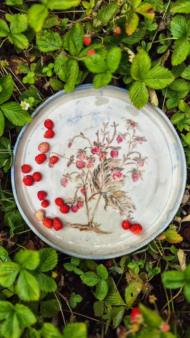 patery i talerze Talerze ozdobny Poziomki, talerze obiadowy, ilustracja poziomki, talerz 23 cm