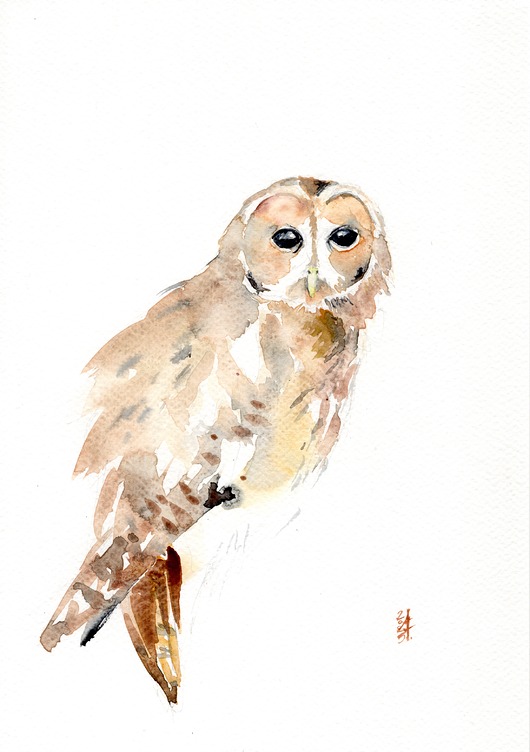 obrazy Oryginalna akwarela. Sowa