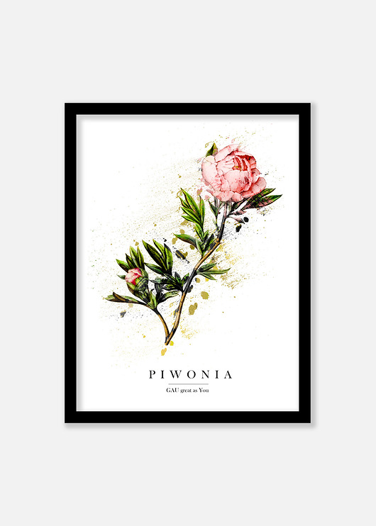 PIWONIA Plakat GAU Home