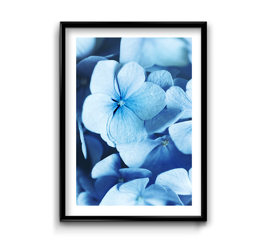 plakaty Plakat Blue Flower No.2