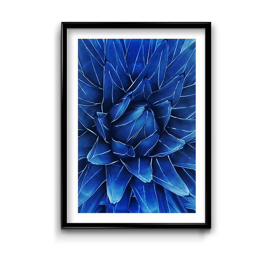 Plakat Navy Blue No.1  Bury Lis