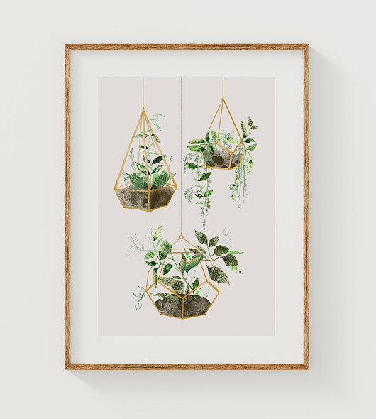 grafiki i ilustracje Ilustracja botaniczna  A3