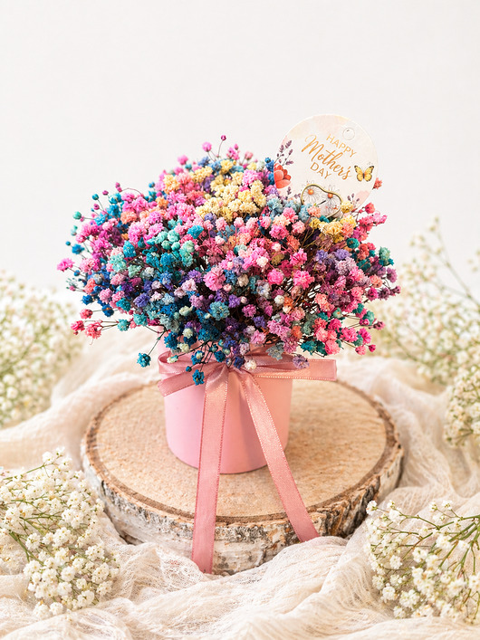 kartki okolicznościowe - wydruki Flowerbox mini trwała gipsówka tęcza