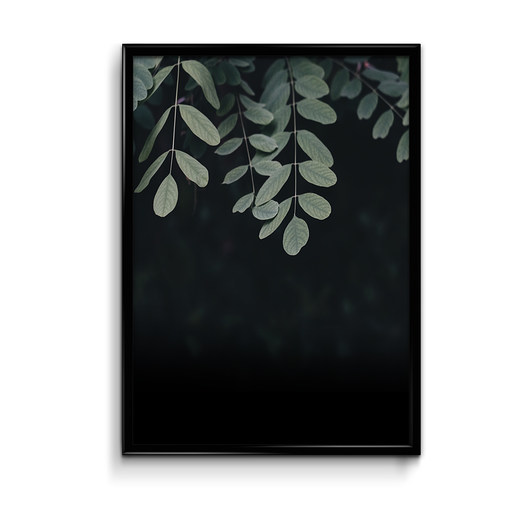 Liście plakat 50x70 Bury Lis