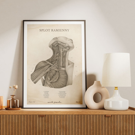 plakaty Plakat Splot Ramienny Vintage