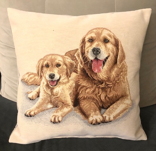 poduszki z grafiką Poduszka ozdobna Golden Retriever
