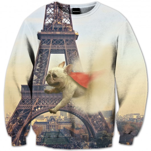 Superdog Sweatshirt Brain Wash Clothing