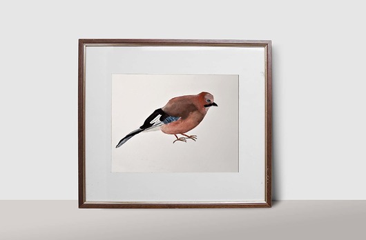 Sójka, akwarela, 30x22 cm Warsaw Birds