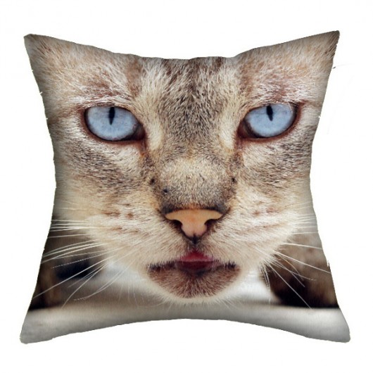 promocja! rzymskie koty 1 - poducha 45 cm AT design