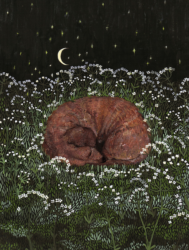 grafiki i ilustracje Jamnik- Śpiący Jamniczek- grafika- ilustracja- pies