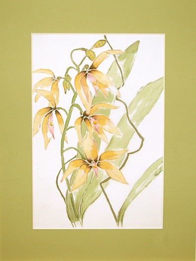 jedwab-orchidea nie tylko....  Iwona D