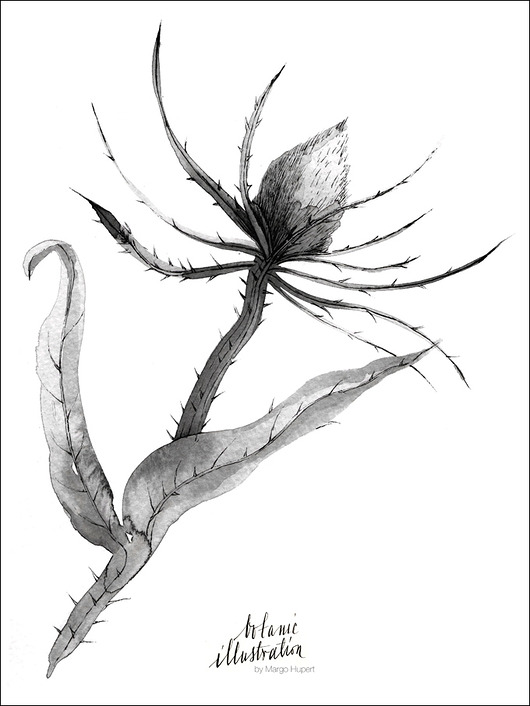 Oset | 30x40 cm Margo Hupert