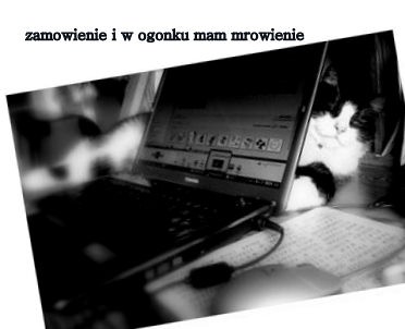 zamówienie i w pgonku mam mrowienie ruda klara