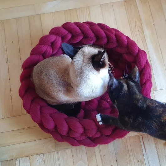 legowiska dla psów i kotów Legowisko dla kota, łóżko dla kota, meble dla kota, kocyk dla kota