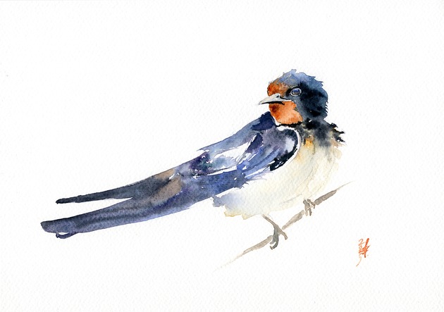 obrazy Oryginalna akwarela. Jaskółka