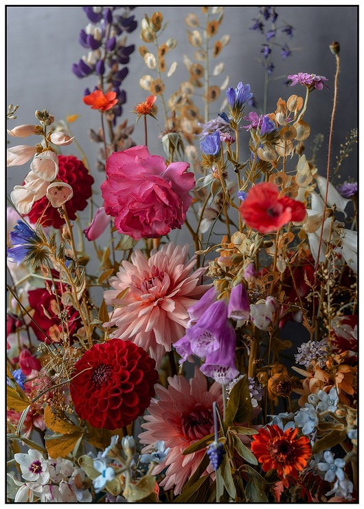 plakaty Plakat plakaty Kwiaty Polskie 297 x 420 mm