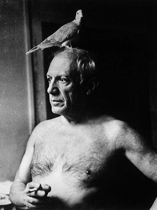 obrazy Portret Picassa - dekoracja ścienna