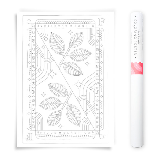 plakaty Plakat do Kolorowania Roślina Doniczkowa Fikus Sprężysty 50x70cm