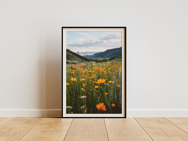 plakaty Plakat - Nature 5