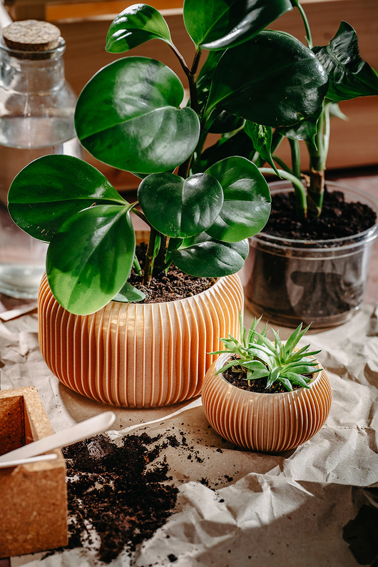 doniczki Średnia doniczka 71P03.500.OAK / eko / zero waste / minimalizm