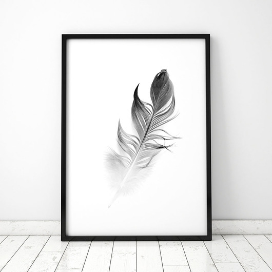 Plakat Piórko szare COLORMINT