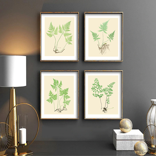 grafiki i ilustracje PLAKATY  botaniczne paproć grafiki  vintage