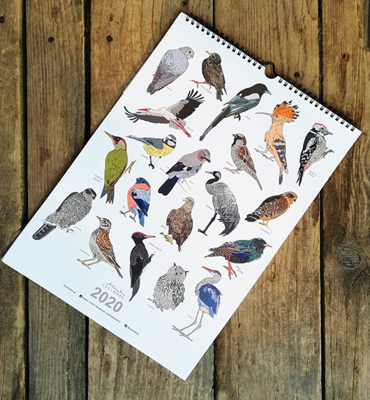 kalendarze i plannery kalendarz Ptaki 2020 A3 12 stron + okładka