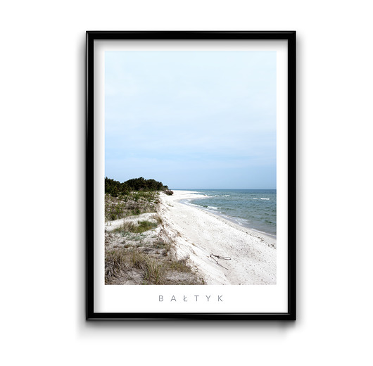 Plakat Bałtyk #6  Bury Lis