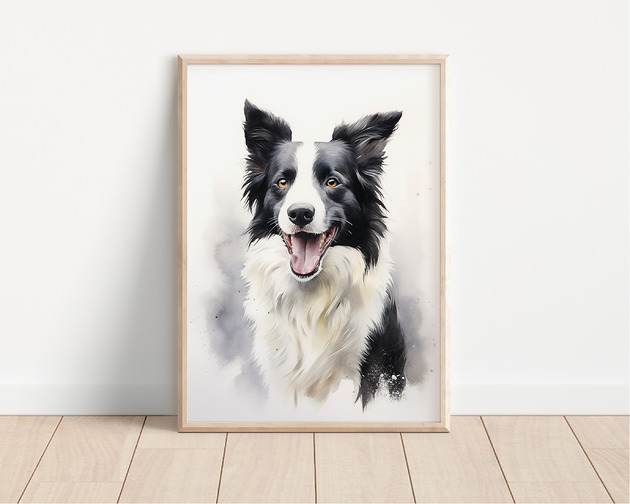 plakaty Plakat border collie