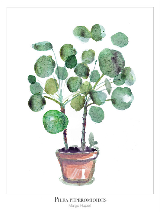 Pilea | 30x40 cm Margo Hupert