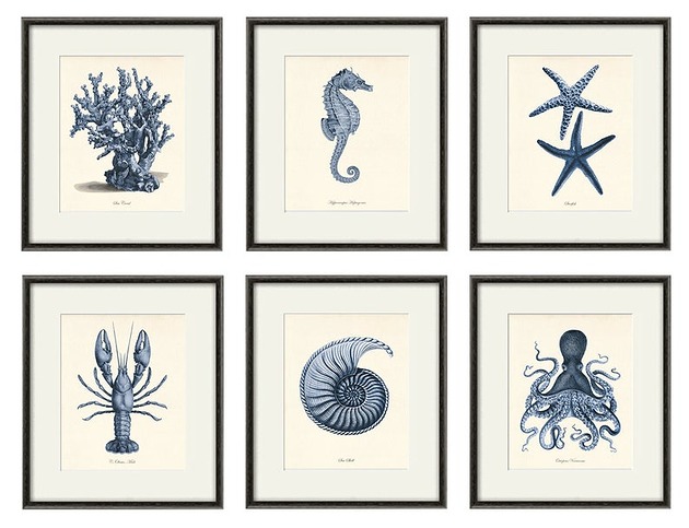 grafiki i ilustracje Motywy morskie zestaw 6 grafik