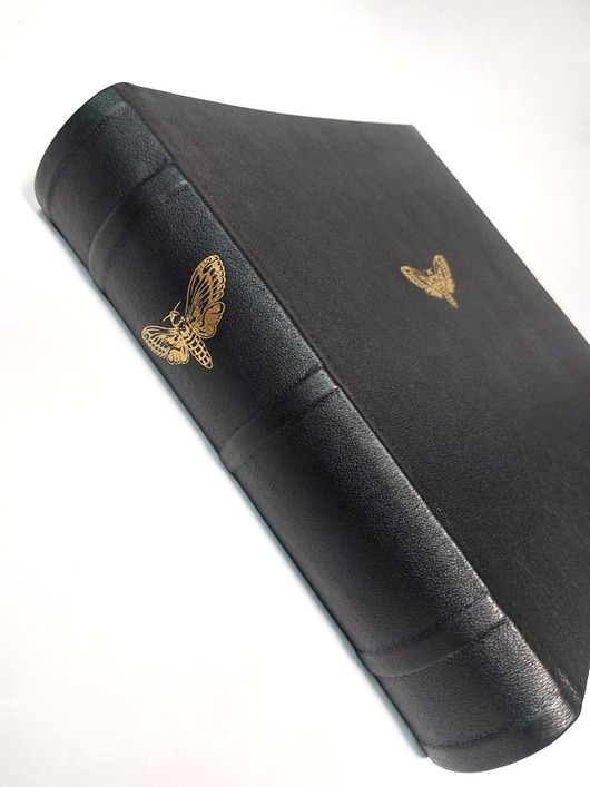 notatniki i albumy Księga Gosci Queen of the Night 25x25 80 stron