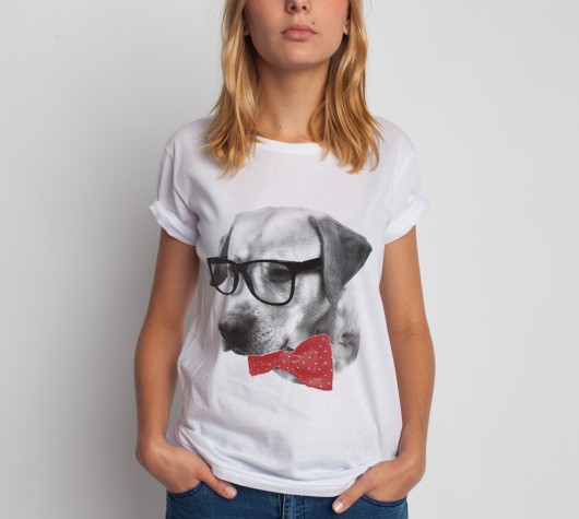 BONO dog SASHKA