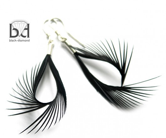 Czerń Nastroszona Black Diamond