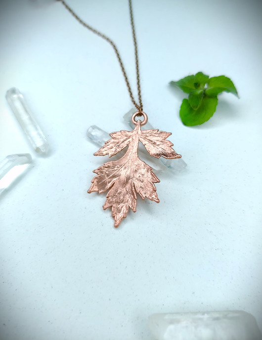 wisiory Bylica pospolita- ochrona