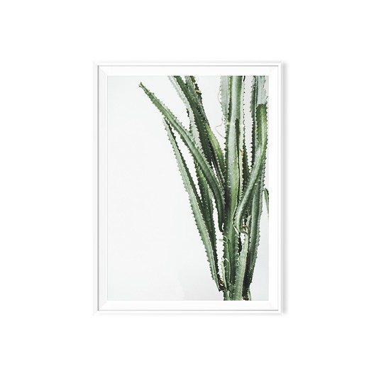 Plakat skandynawski Kaktus myscandi