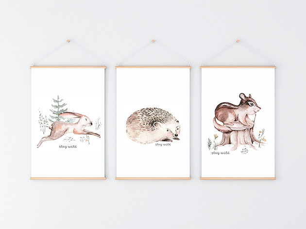 plakaty Plakat. Leśne przygody, sowa